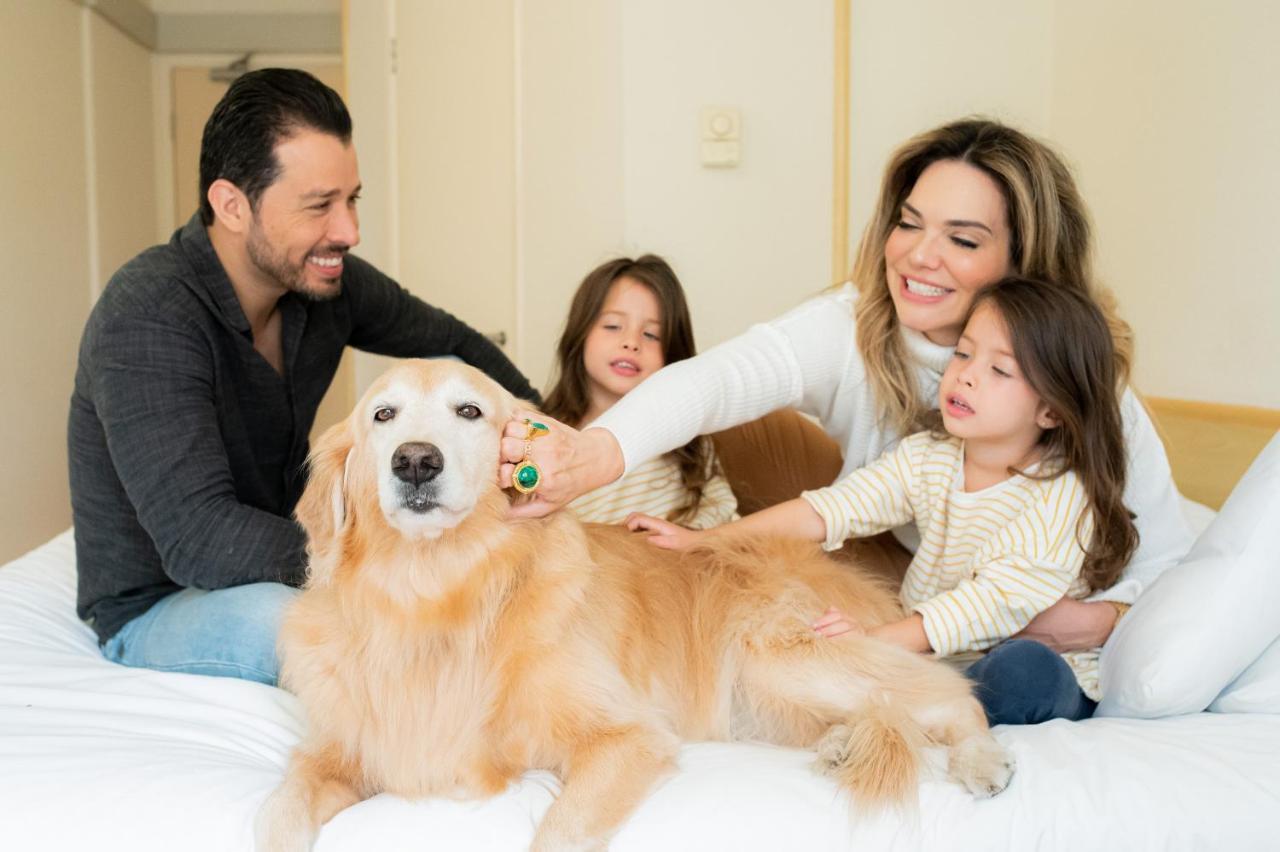 Ibis Taubate Otel Dış mekan fotoğraf